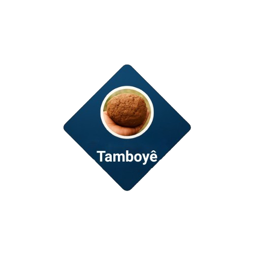 Tomboyê revue scientifique africaine